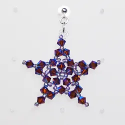 Pierces - Silver 925 - Earrings Phoenix - Pierces - Silver 925 - Argent 925